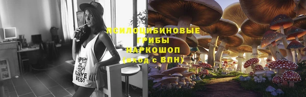 гашик Армянск