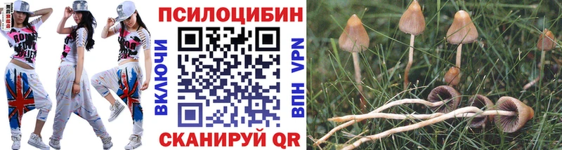 Галлюциногенные грибы Cubensis  Среднеколымск 